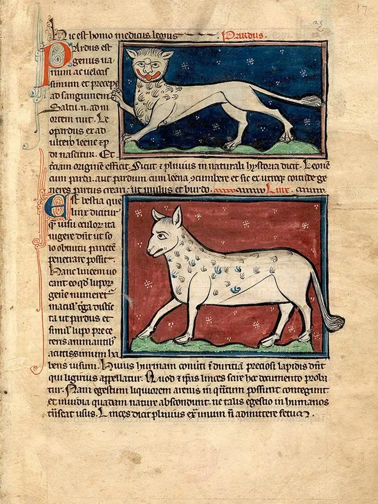 BESTIARIO-DE-WESTMINSTER-editorial siloe facsimiles